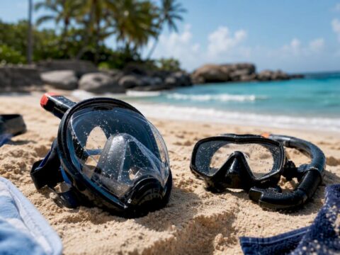 Full-face and traditional snorkel masks on dock