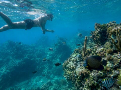 Snorkeler exploring rocky pinnacles and coral reefs underwater
