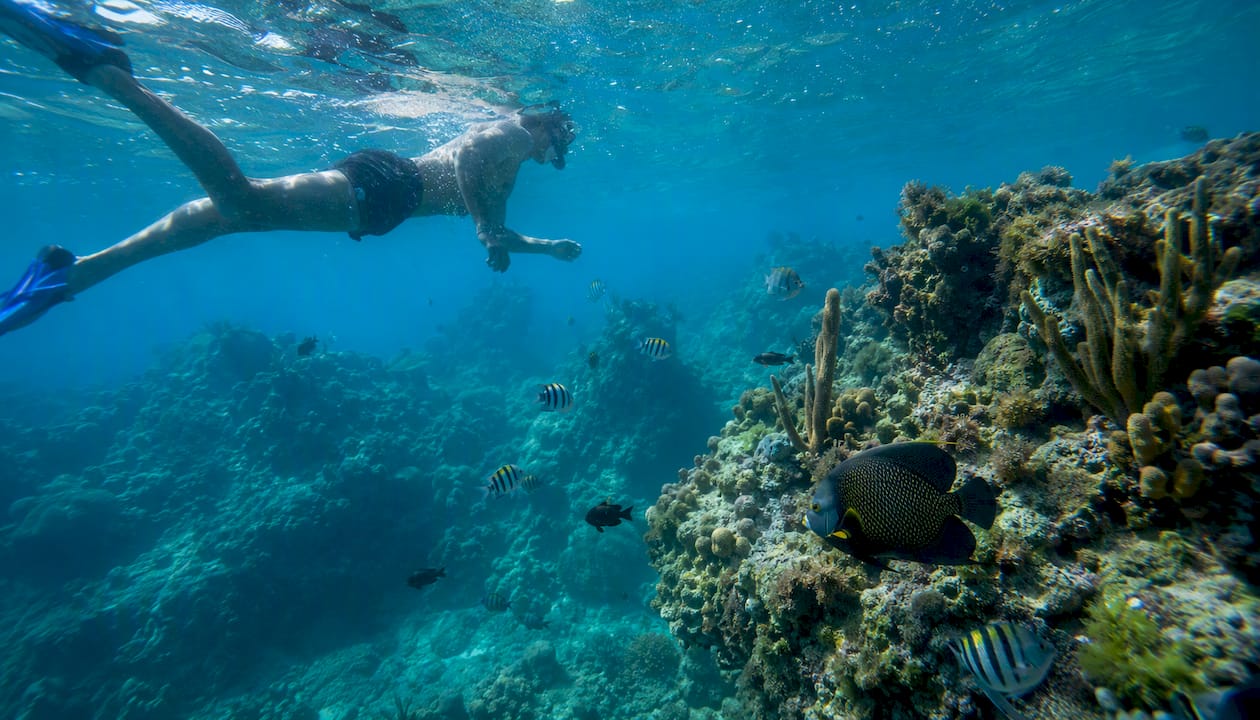 Snorkeler exploring rocky pinnacles and coral reefs underwater