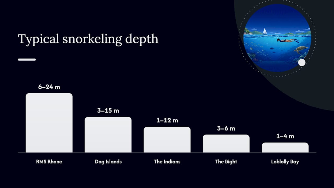 Diagram comparing top BVI snorkeling sites by features and safety