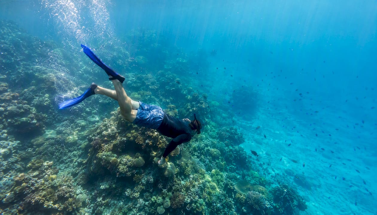 Snorkeler descending underwater near coral reef