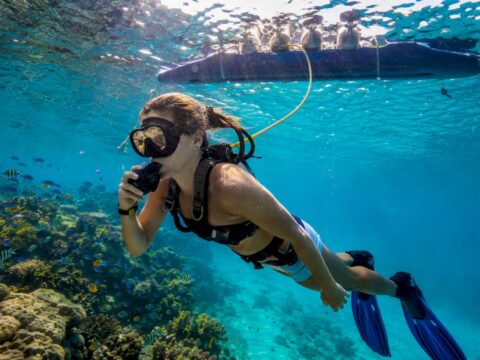 Snuba diver underwater at shallow coral reef