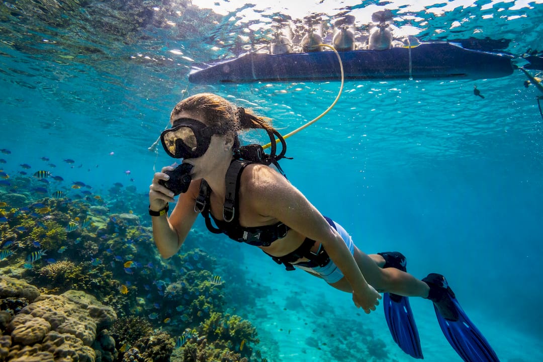 Snuba diver underwater at shallow coral reef