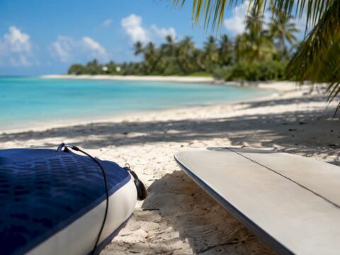 Partial inflatable and hard paddle boards on beach sand