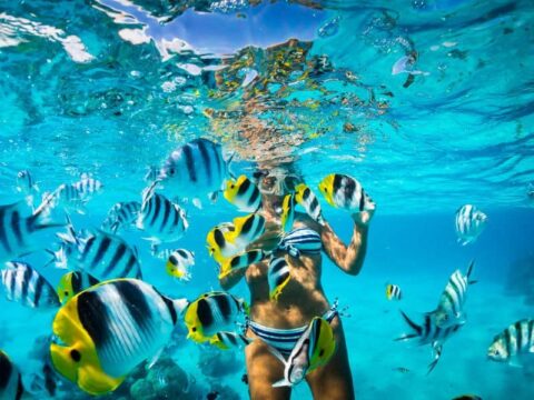 Snorkeling & Water Toys on a BVI Yacht Charter